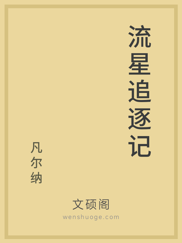 流星追逐记