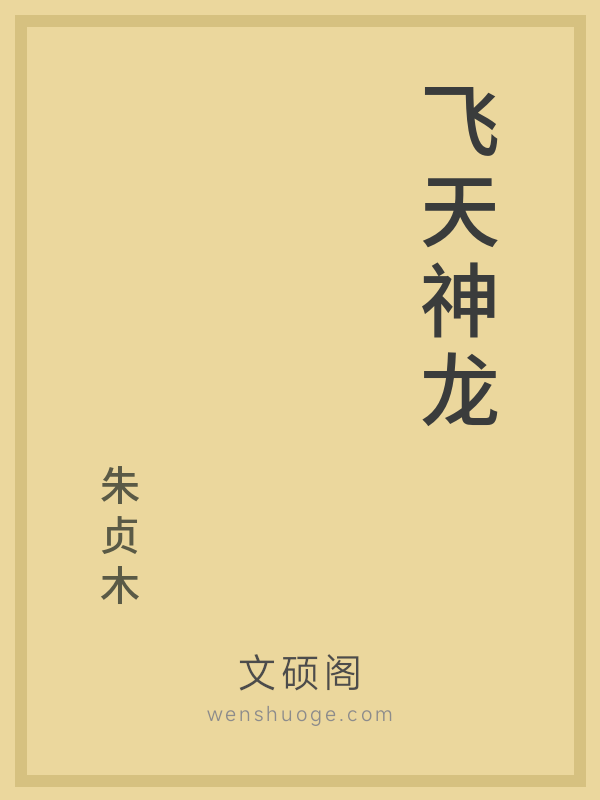 飞天神龙