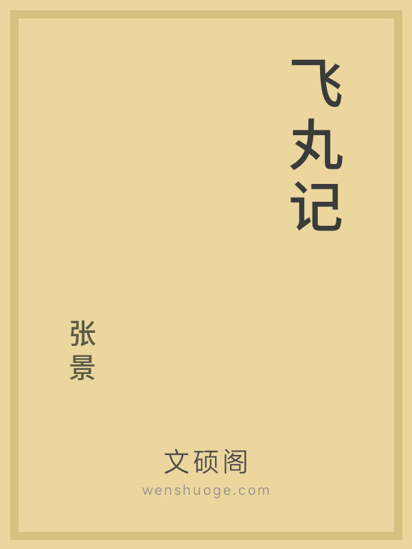 飞丸记