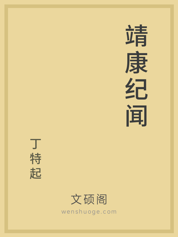 靖康纪闻的书籍封面