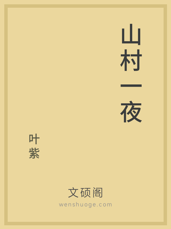 山村一夜的书籍封面
