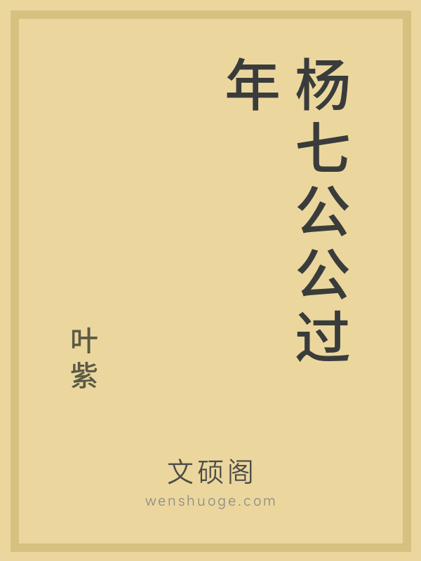 杨七公公过年的书籍封面