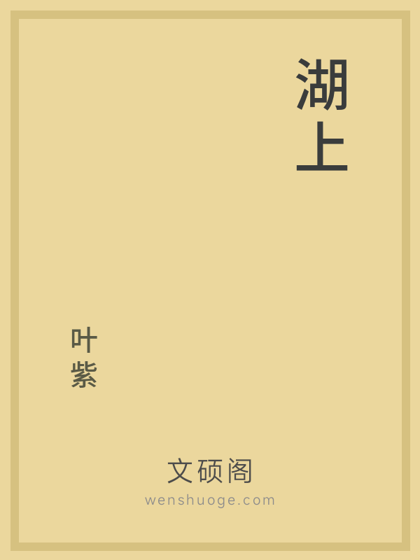 湖上的书籍封面