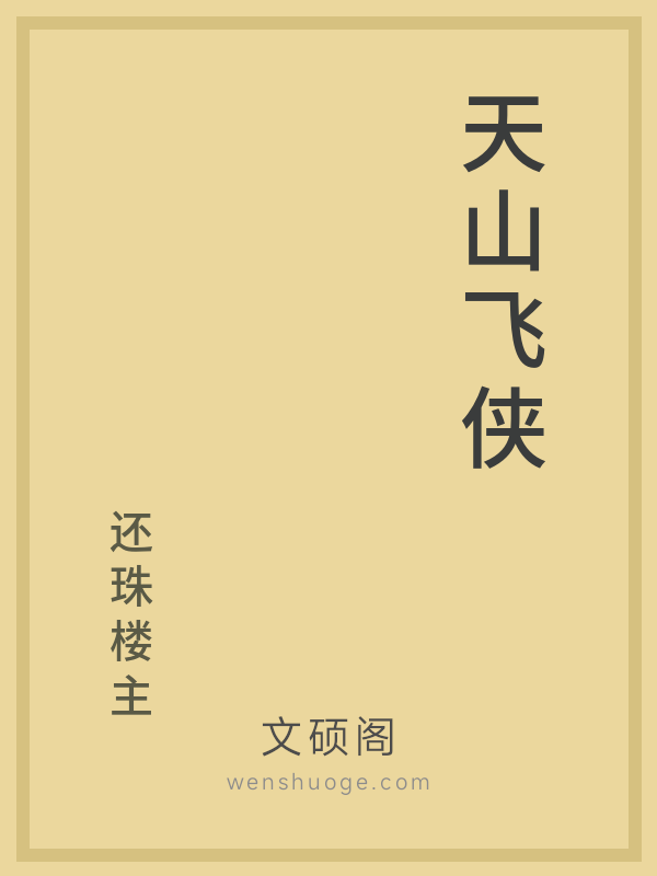 天山飞侠