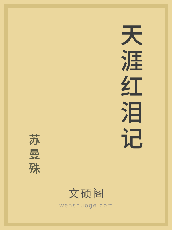 天涯红泪记的书籍封面