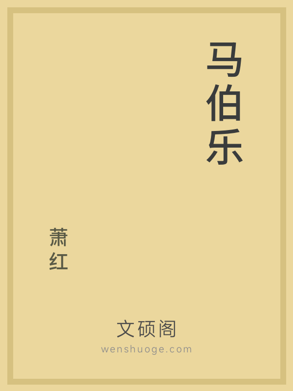 马伯乐的书籍封面 马伯乐的书籍封面