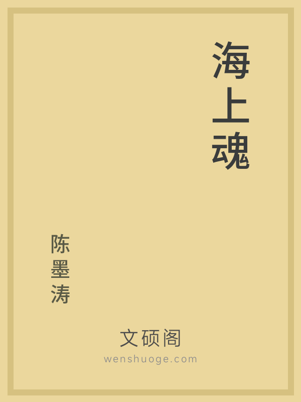 海上魂的书籍封面