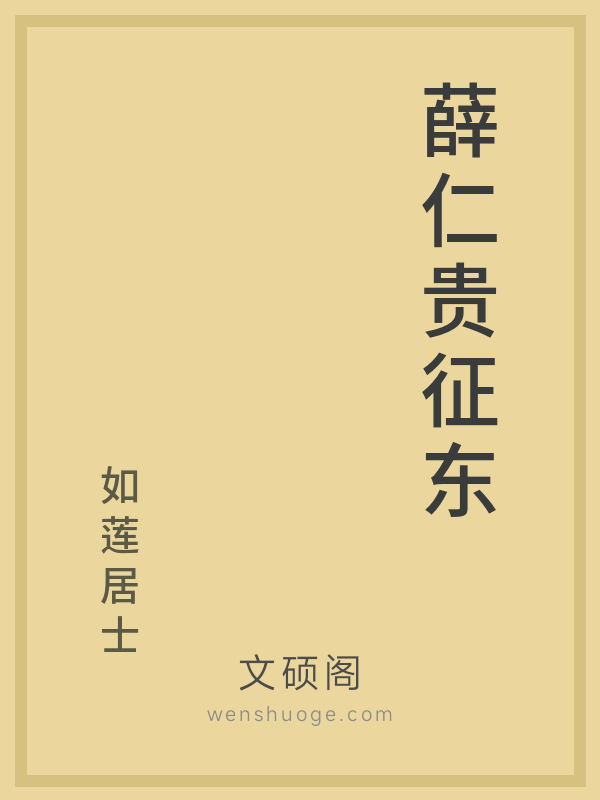薛仁贵征东的书籍封面
