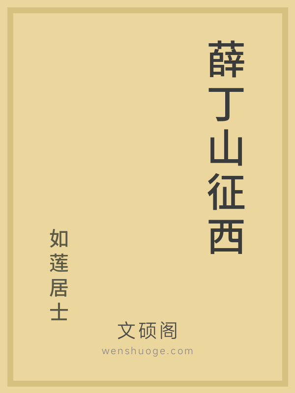 薛丁山征西的书籍封面