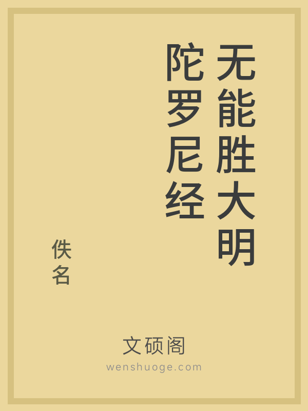 无能胜大明陀罗尼经的书籍封面
