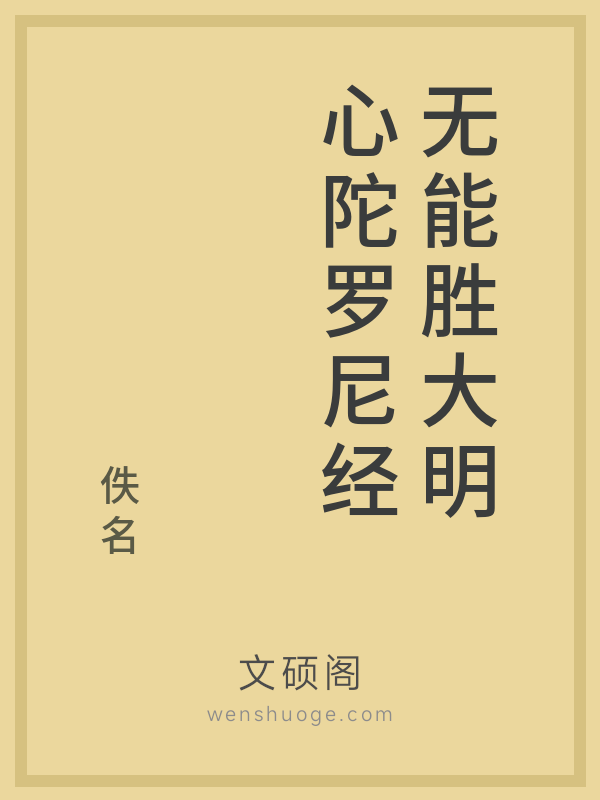无能胜大明心陀罗尼经的书籍封面