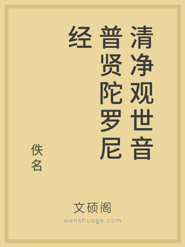 清净观世音普贤陀罗尼经的书籍封面
