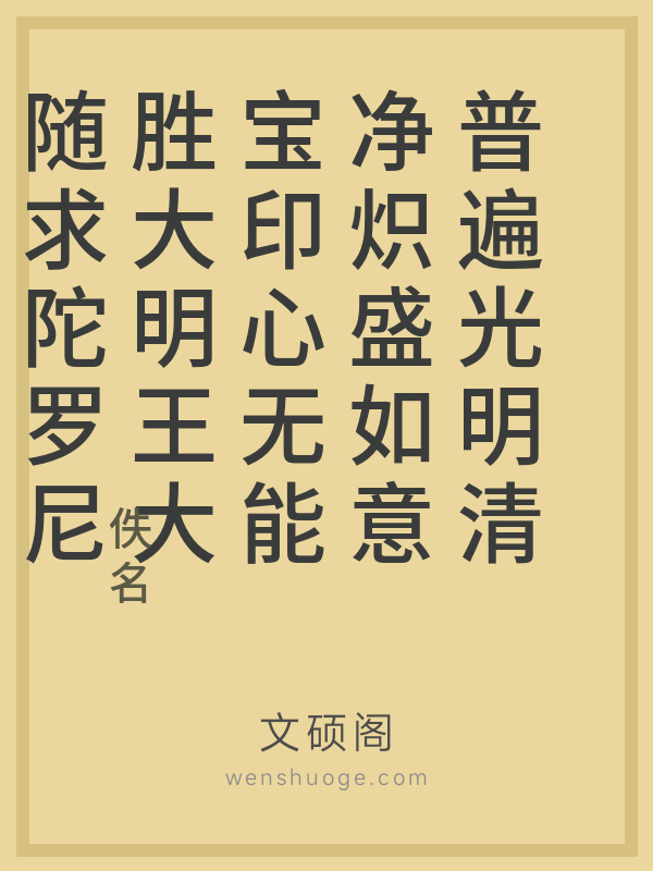 普遍光明清净炽盛如意宝印心无能胜大明王大随求陀罗尼经的书籍封面