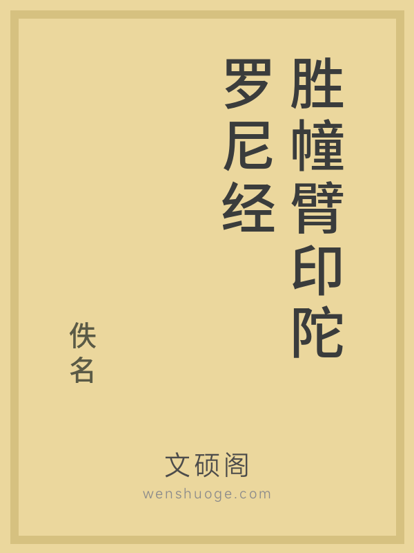 胜幢臂印陀罗尼经的书籍封面