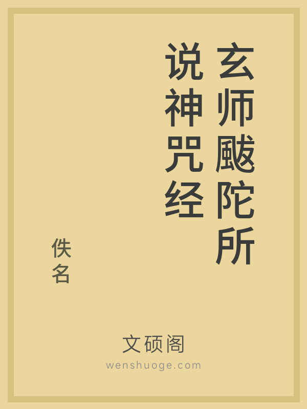 玄师颰陀所说神咒经的书籍封面