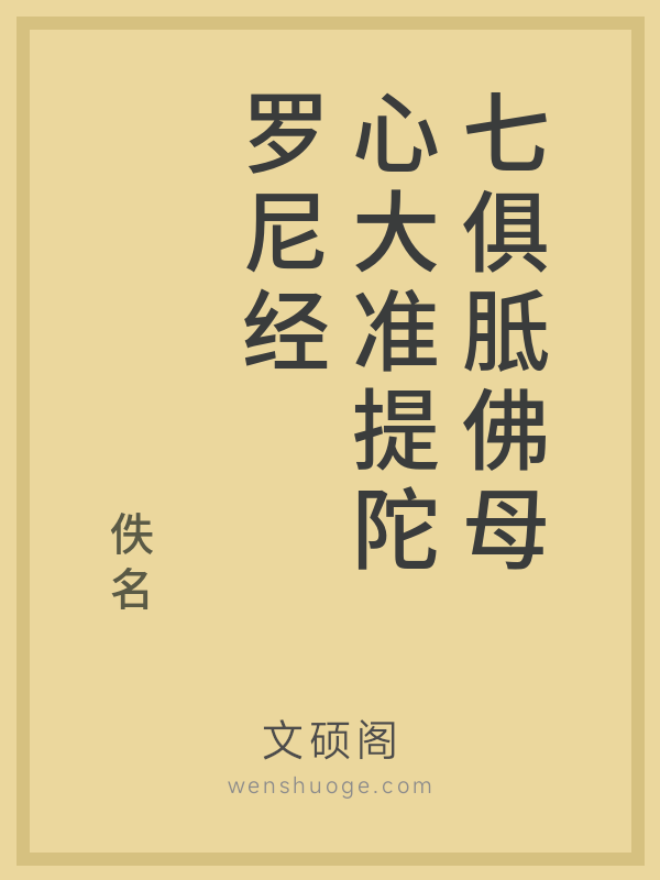 七俱胝佛母心大准提陀罗尼经的书籍封面