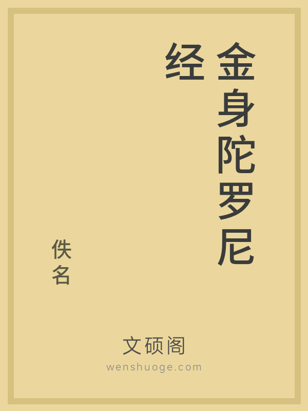 金身陀罗尼经的书籍封面