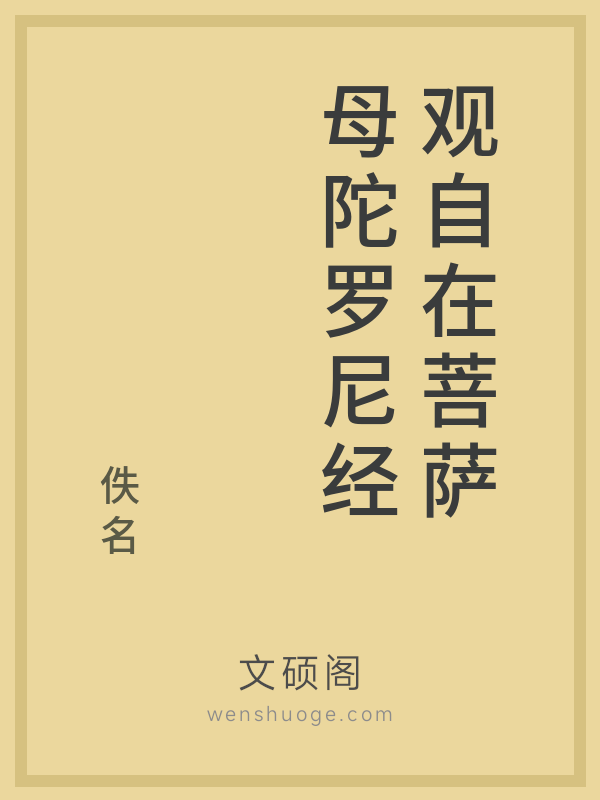 观自在菩萨母陀罗尼经的书籍封面