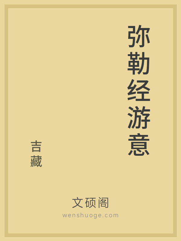 弥勒经游意的书籍封面