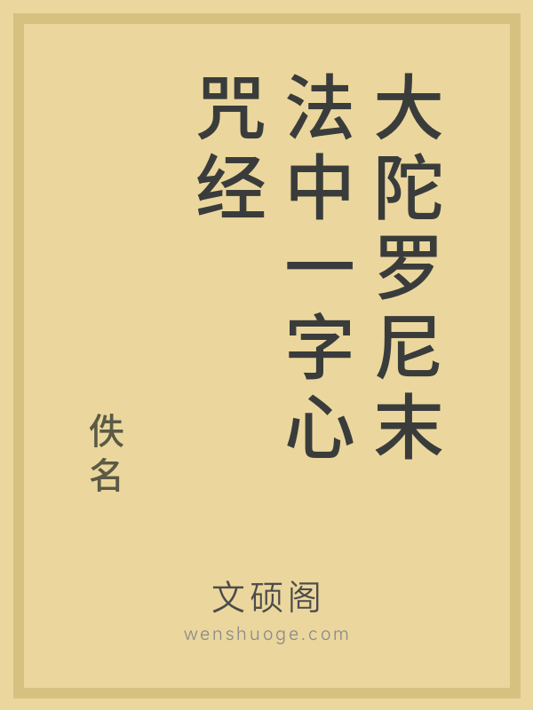 大陀罗尼末法中一字心咒经的书籍封面