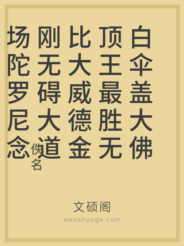 白伞盖大佛顶王最胜无比大威德金刚无碍大道场陀罗尼念诵法要的书籍封面
