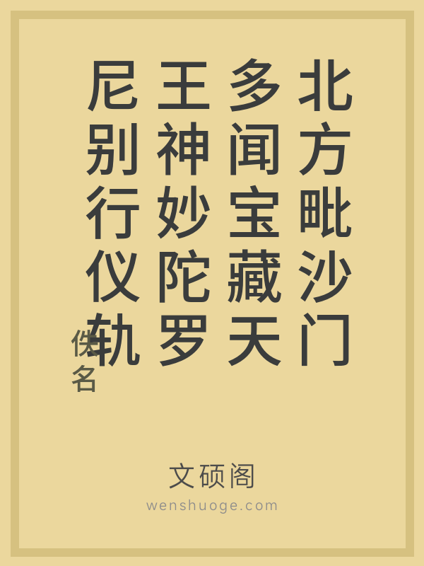 北方毗沙门多闻宝藏天王神妙陀罗尼别行仪轨的书籍封面