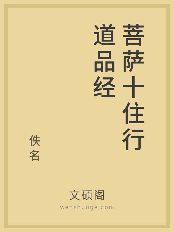 菩萨十住行道品经的书籍封面