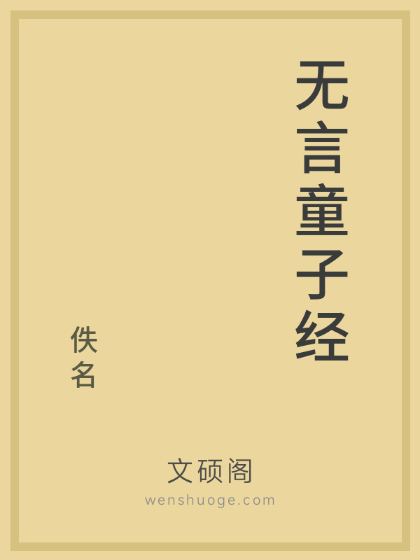 无言童子经的书籍封面