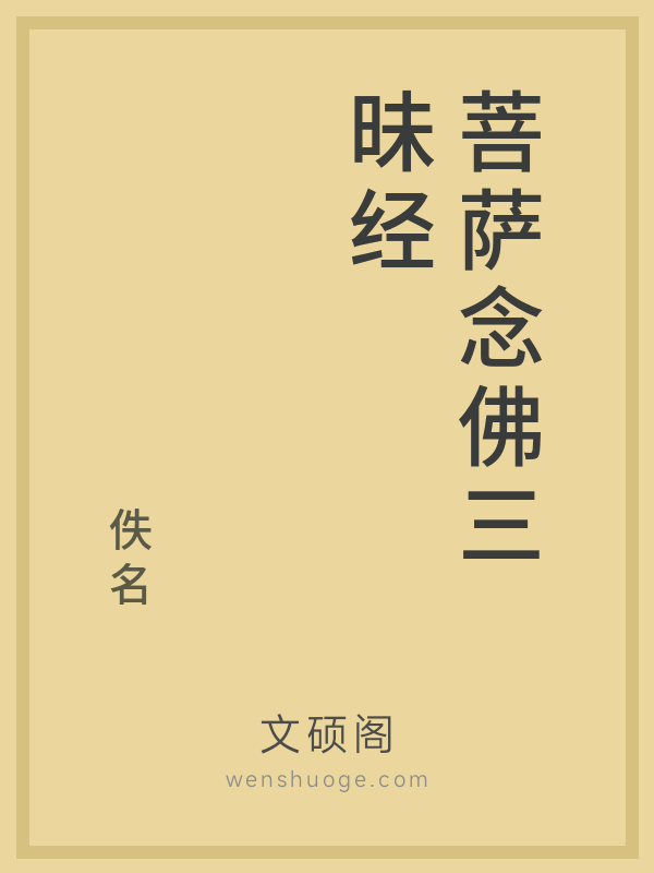 菩萨念佛三昧经的书籍封面