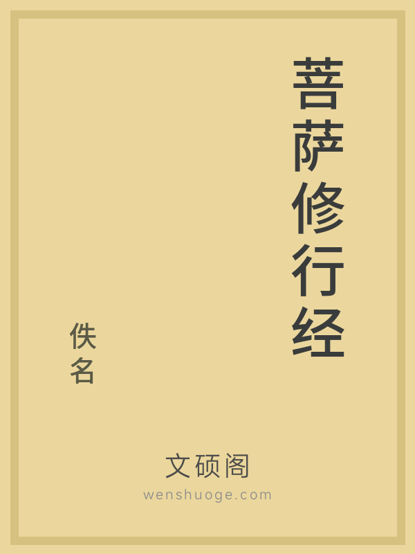 菩萨修行经的书籍封面