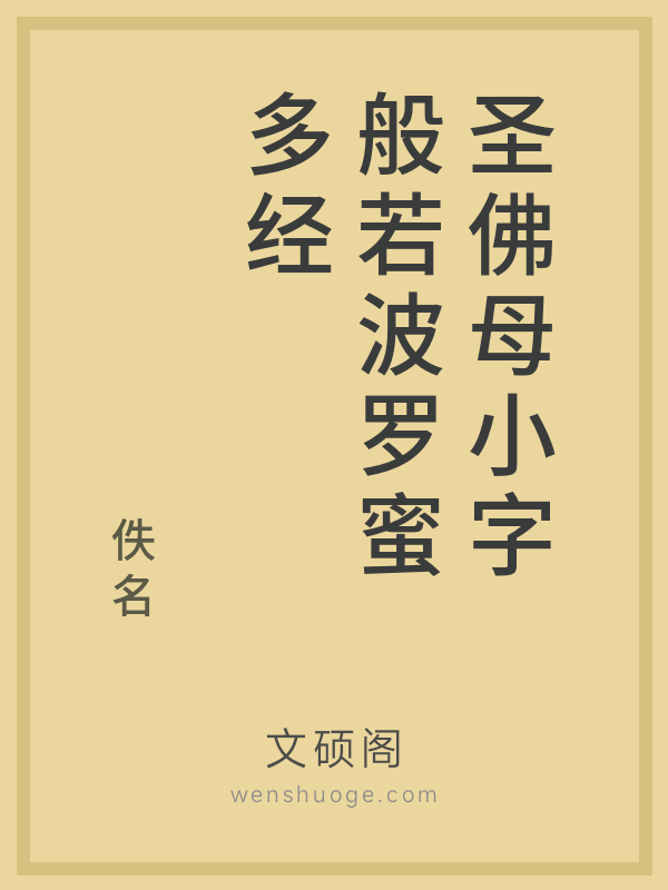 圣佛母小字般若波罗蜜多经的书籍封面