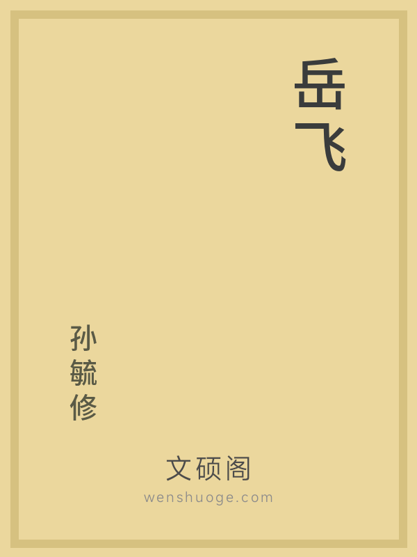 岳飞 岳飞