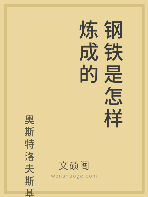 钢铁是怎样炼成的的书籍封面 钢铁是怎样炼成的的书籍封面
