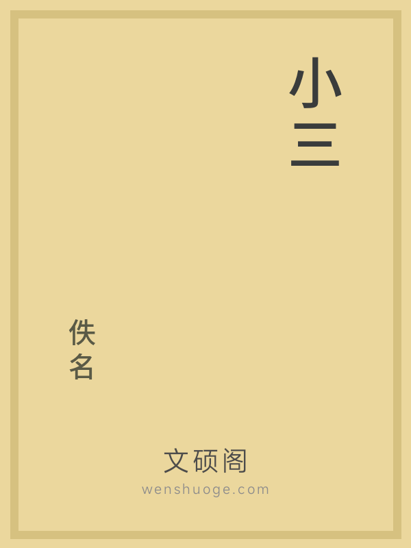 小三 小三