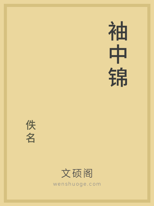 袖中锦 袖中锦