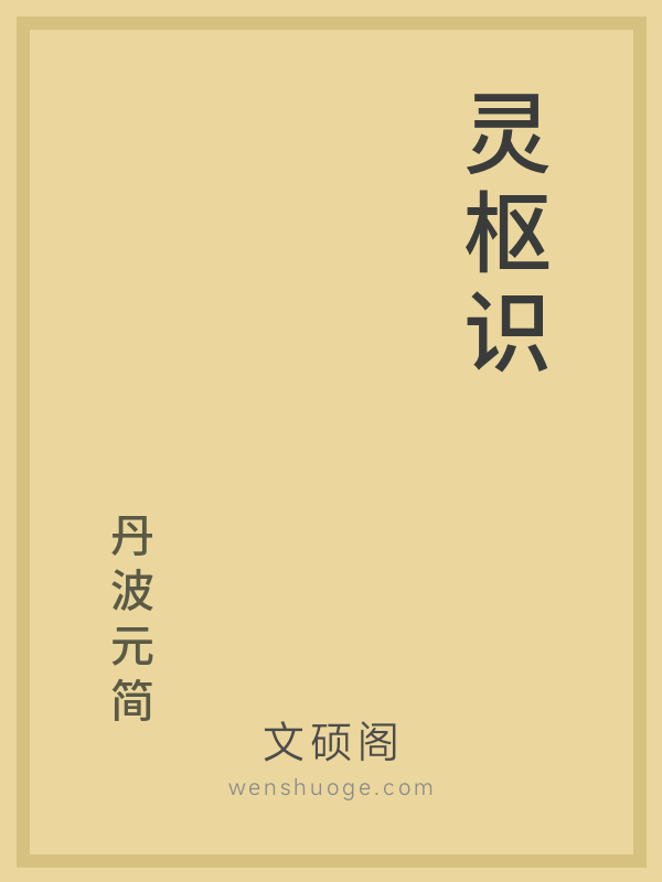 灵枢识的书籍封面 灵枢识的书籍封面