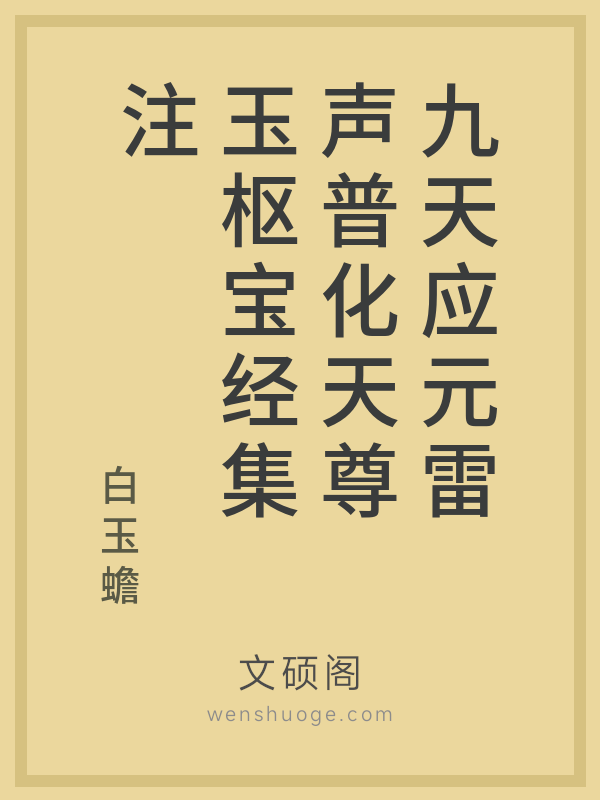 九天应元雷声普化天尊玉枢宝经集注 九天应元雷声普化天尊玉枢宝经集注