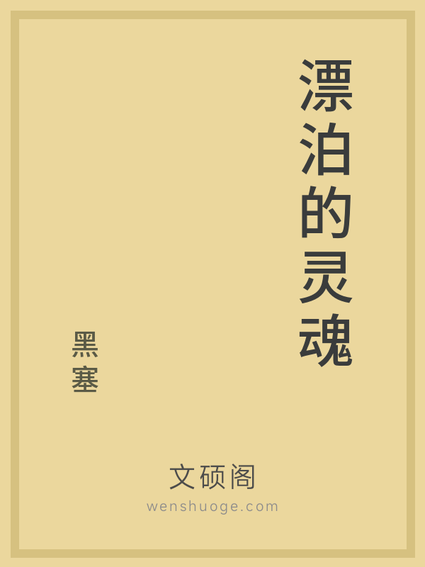 漂泊的灵魂 漂泊的灵魂