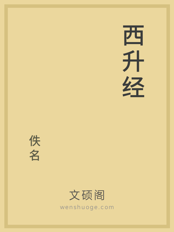 西升经的书籍封面 西升经的书籍封面