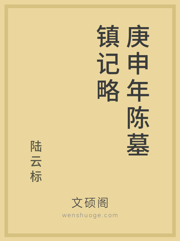 庚申年陈墓镇记略的书籍封面