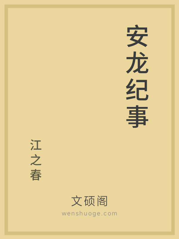 安龙纪事的书籍封面