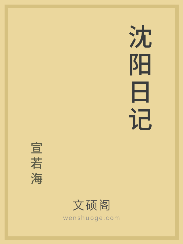 沈阳日记的书籍封面