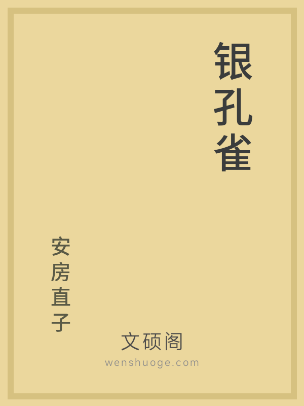 银孔雀的书籍封面 银孔雀的书籍封面