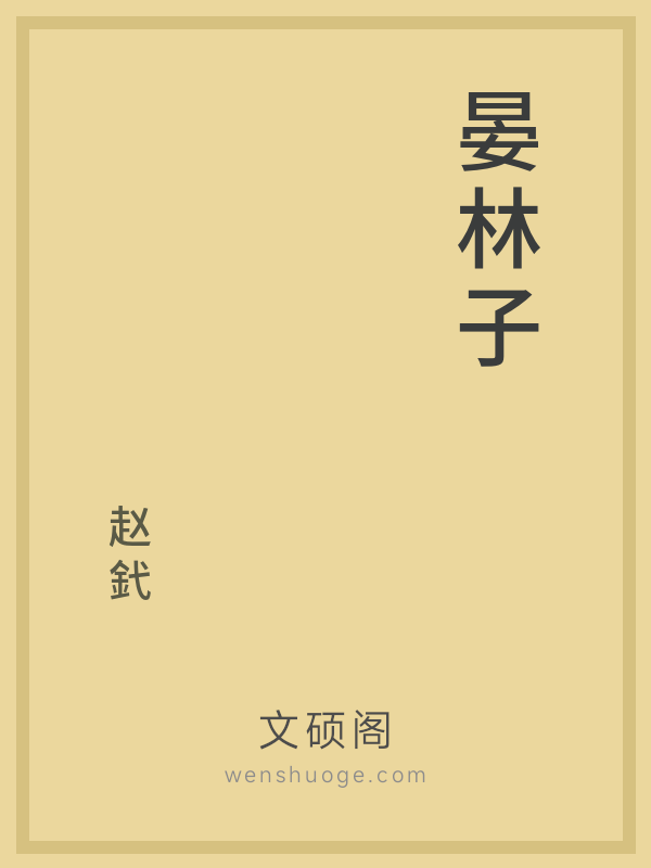 晏林子的书籍封面