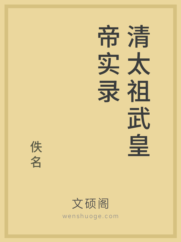 清太祖武皇帝实录的书籍封面