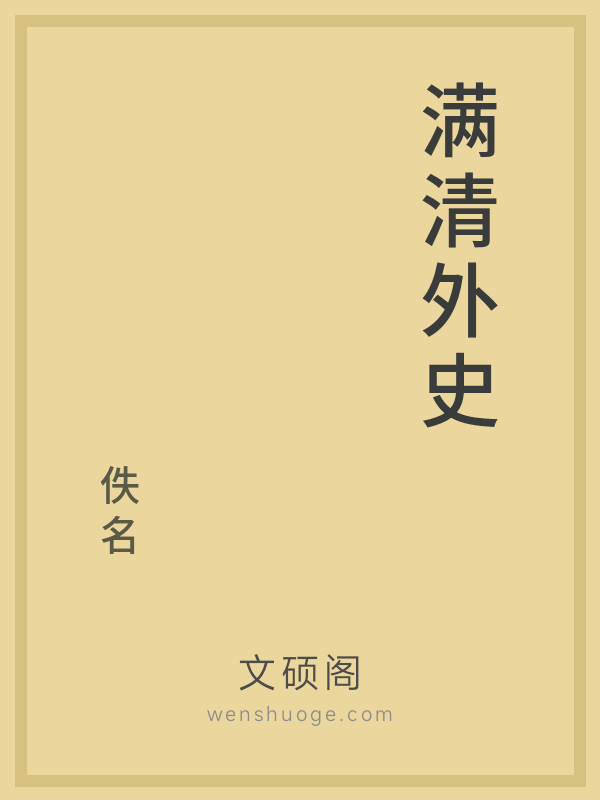 满清外史的书籍封面